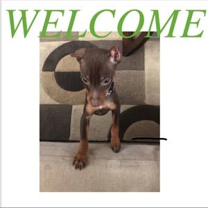 FENDI says @Make my mom an offer”❤️ BOOKMARK MY CLOSET TOO